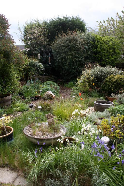Mere Cottage B & B Alsager Luaran gambar